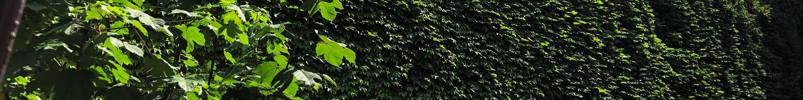 faq section header 2